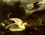 Johannes Spruyt - Geese and Ducks